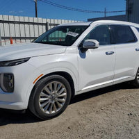 2020-2025 Hyundai Palisade right Passenger Roof Curtain AIRBAG OEM